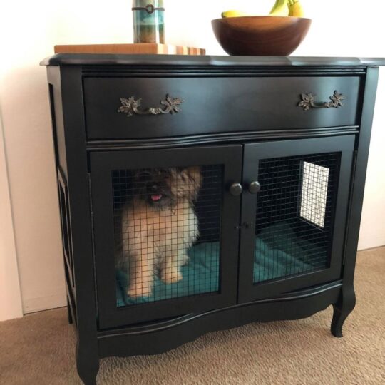 Dog crate furniture