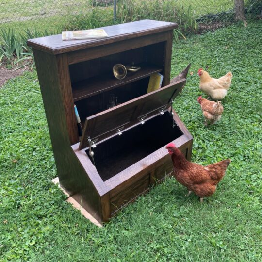 Toy Box with shelves