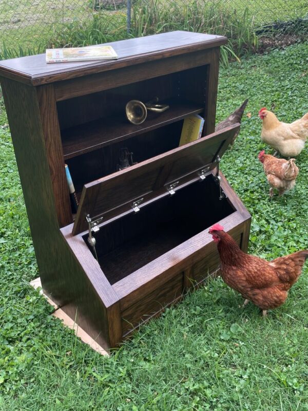 Toy Box with shelves